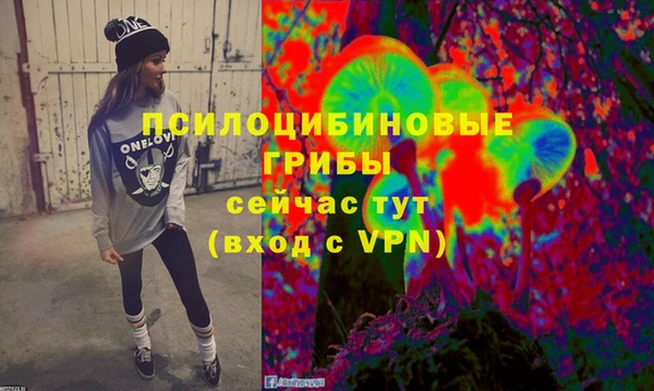ГАЛЛЮЦИНОГЕННЫЕ ГРИБЫ Беломорск