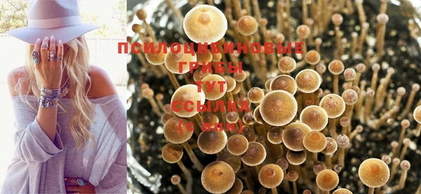 мяу мяу мука Богданович