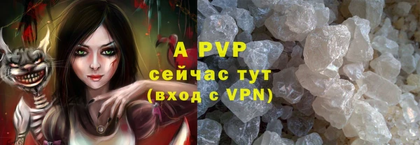 ГАЛЛЮЦИНОГЕННЫЕ ГРИБЫ Беломорск