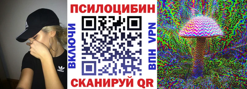 Псилоцибиновые грибы Psilocybine cubensis  купить  цена  Белоярский 